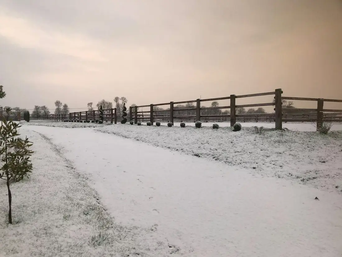 Paddocks et clôtures sous la neige au lever du jour