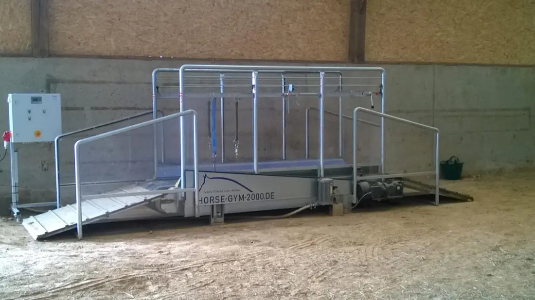 Marcheur Horse-Gym sous le bâtiment couvert