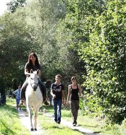 Jonquille, ponette New Forest, en concours