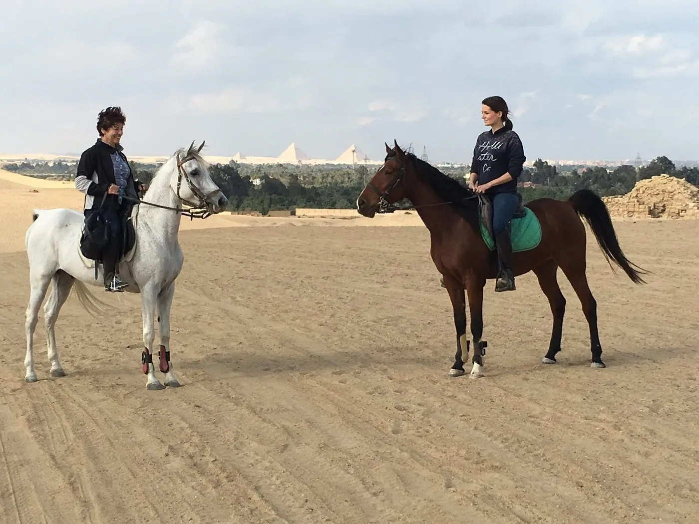 Sortie à cheval dans le désert égyptien