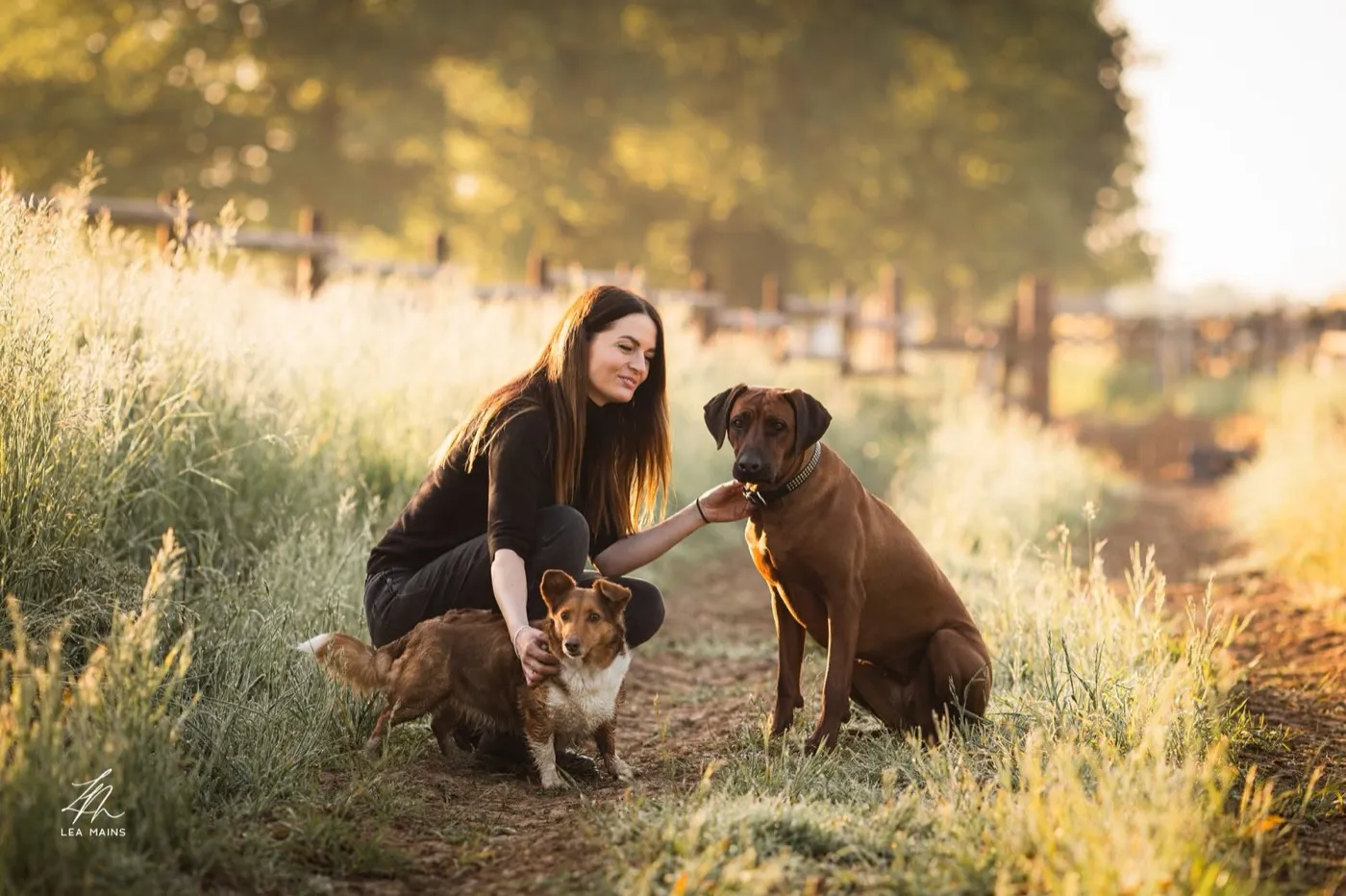 Laetitia Collet accroupie dans un chemin de campagne au soleil couchant, entre son Rhodesian Ridgeback et un petit chien